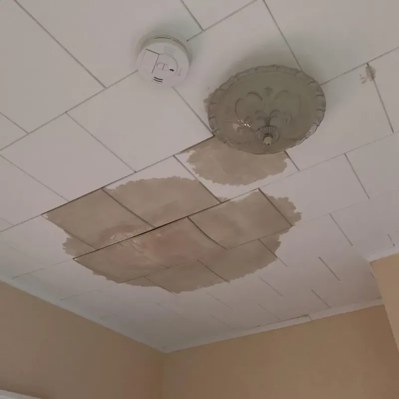Ceiling Water Damage Repair in Burlington, VT