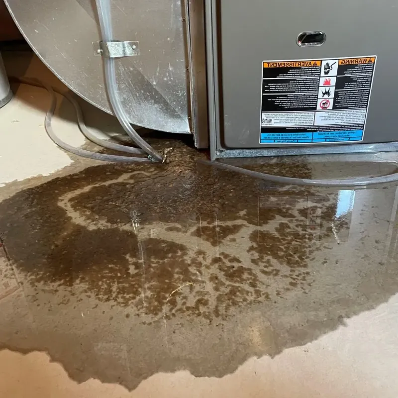 Pipe Burst and Leak Restoration in Burlington, VT